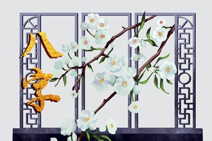 排盘报告阅读顺序